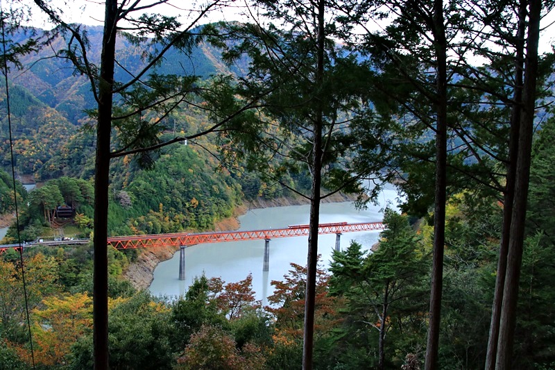 a0167759_134082.jpg