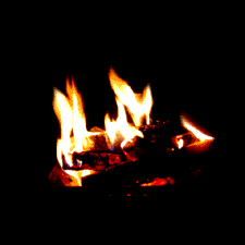c0119160_14370428.gif