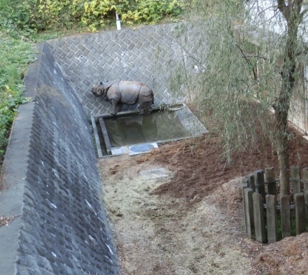 e0266067_18105307.jpg