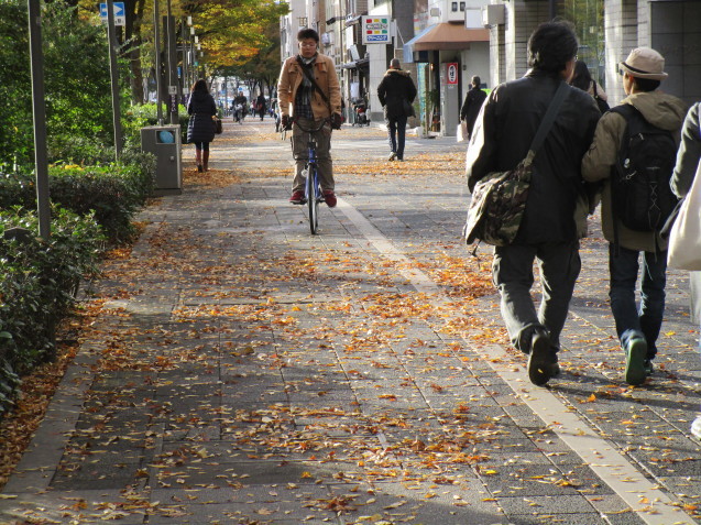 京都生活　～落ち葉の散歩道～_c0218368_16323897.jpg