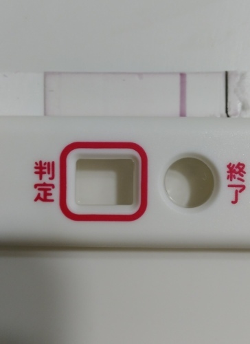 高温期14日目 どれも薄い 二人目不育症日記 高温期14日目 どれも薄い 二人目不育症日記