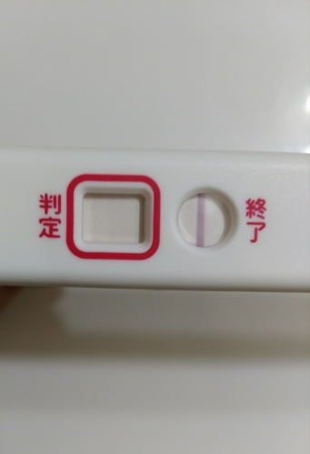 高温期14日目 どれも薄い 二人目不育症日記 高温期14日目 どれも薄い 二人目不育症日記