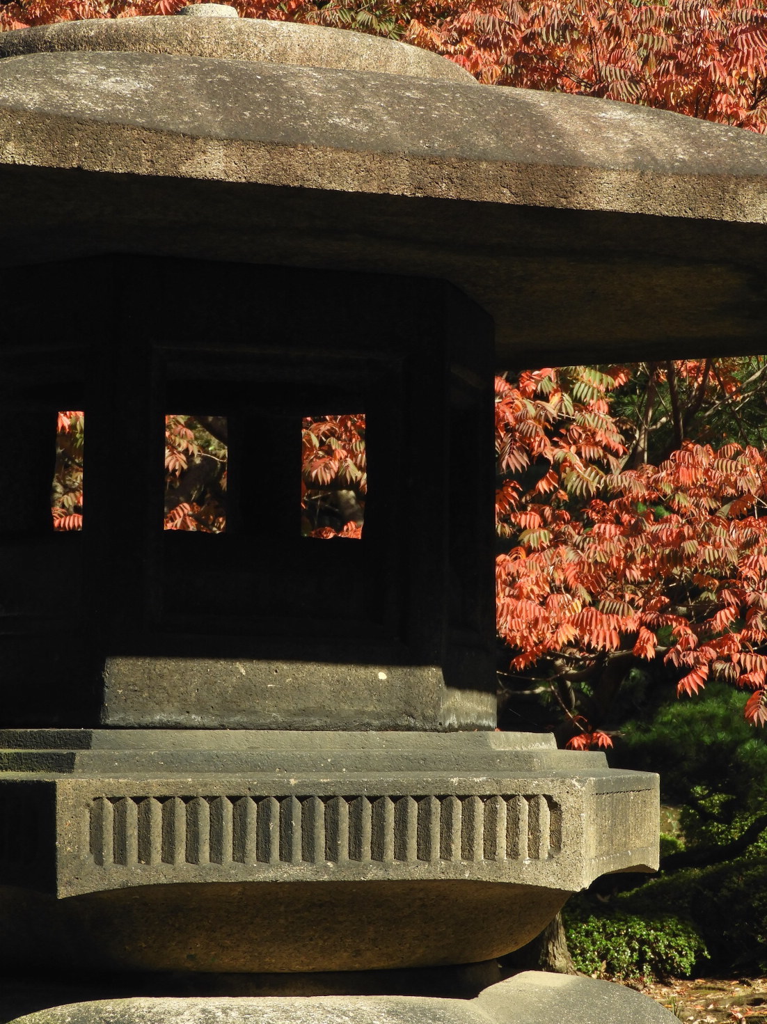 東京そぞろ歩き・庭園探訪：旧古河庭園_f0049074_19003278.jpg