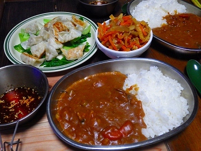 17.11.28.(火)　カレーライス、餃子_b0052375_12374246.jpg