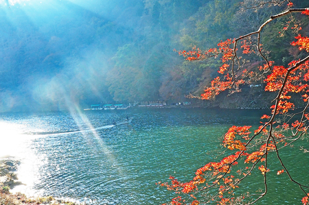 2017年11月29日(水) 紅葉_b0137083_21215220.jpg