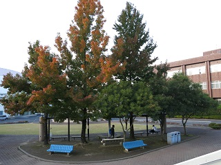 e0130185_0149.jpg