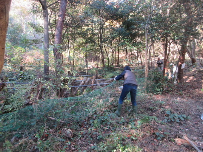f0053885_04480090.jpg
