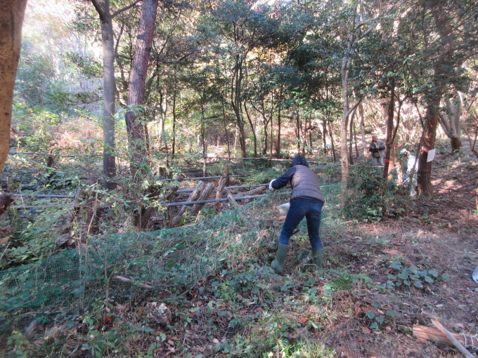 里山活動＆紅葉_f0053885_04480090.jpg