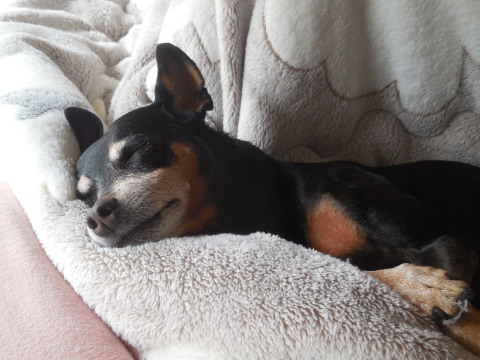 c0195787_20072691.jpg