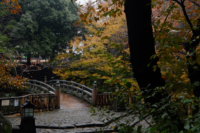 王子神社辺り_b0195589_1528616.jpg