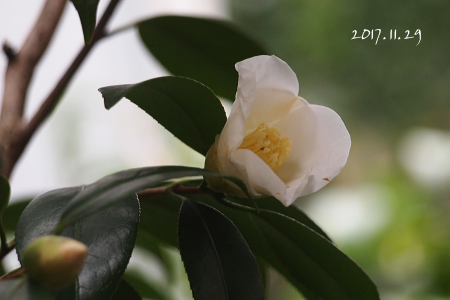b0223592_11150971.png