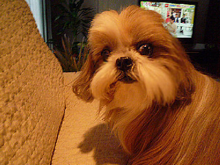 e0346998_08473850.jpg