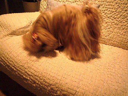 e0346998_08480416.jpg