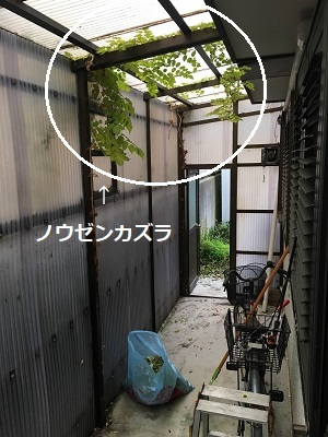 f0372998_19200838.jpg