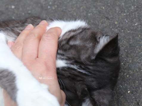 あっという間に一日は過ぎ。。。。(*^▽^*;)_c0140599_18234123.jpg