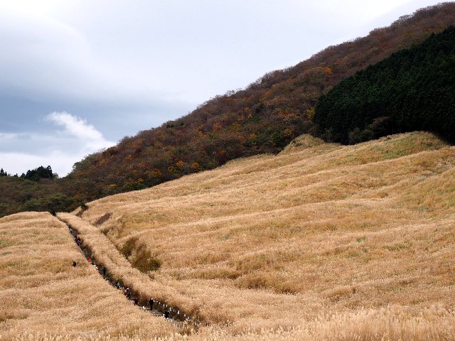 c0008502_1913266.jpg