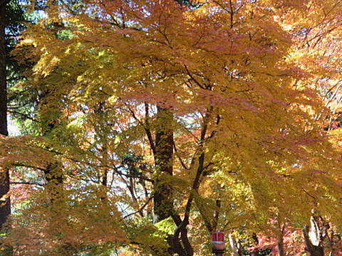 d0046702_07441718.jpg