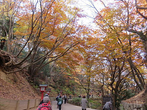 d0046702_07445021.jpg