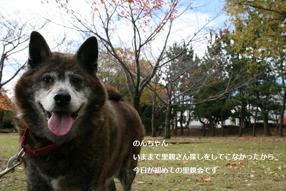 f0242002_01014539.jpg