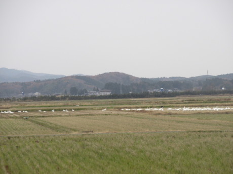 a0203003_20463936.jpg