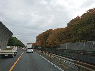 これから10年後、いよいよ夢の乗り物が?!_d0091909_13021829.jpg