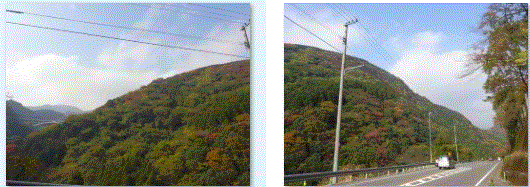 f0231709_09211346.gif
