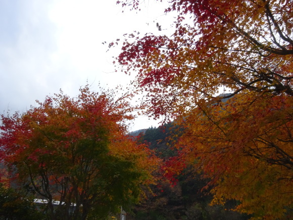 f0231709_09272735.jpg