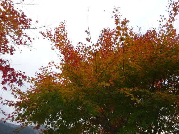 f0231709_09332012.jpg
