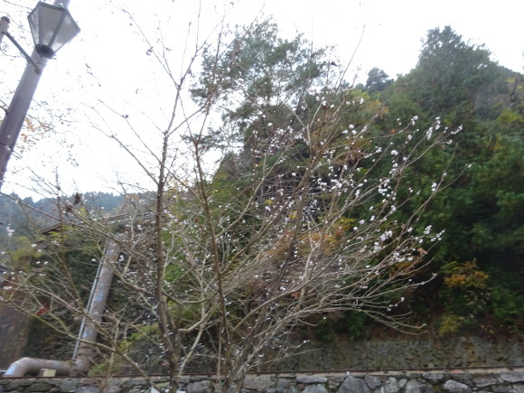 f0231709_09342745.jpg