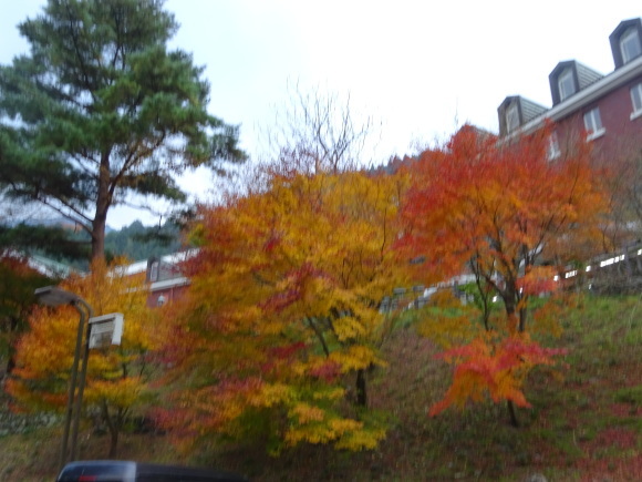 f0231709_09355738.jpg