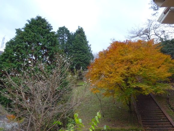 f0231709_09375195.jpg