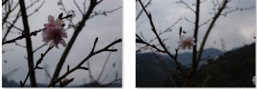 f0231709_09401224.gif