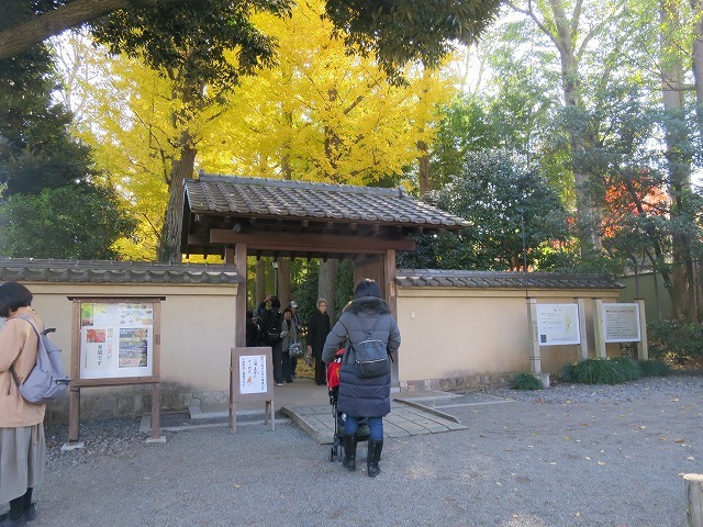 e0121110_22205261.jpg