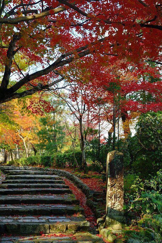 2017京都の紅葉･嵯峨野　化野念仏寺 - デジタルな鍛冶屋の写真歩記