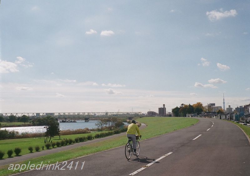 f0388515_17345424.jpg