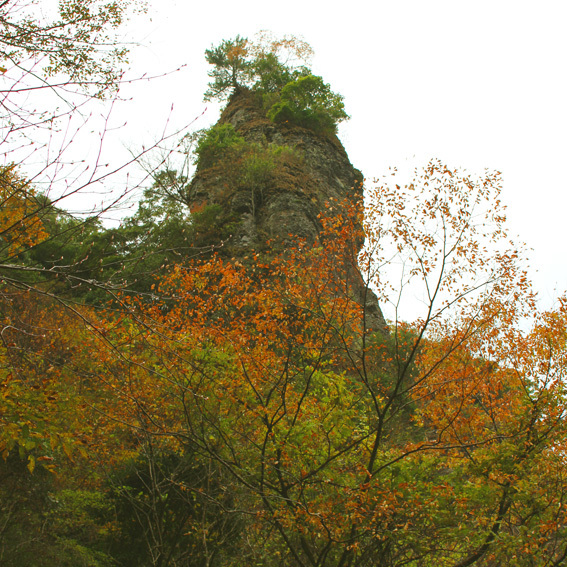 a0329820_01131462.jpg