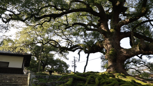 b0083620_01263616.png