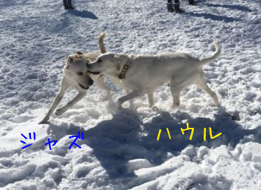 c0114121_23503535.jpg