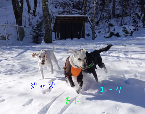 c0114121_2350699.jpg