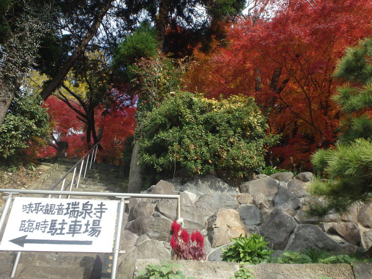 f0193521_8235666.jpg