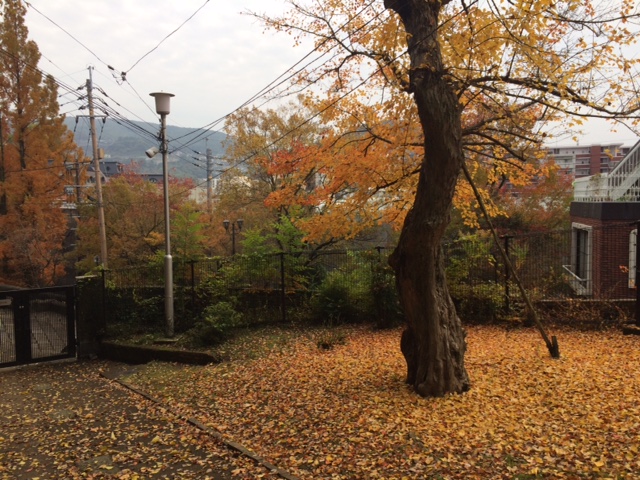 f0011022_1565569.jpg