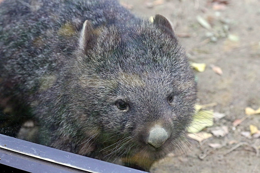 f0224624_06070000.jpg