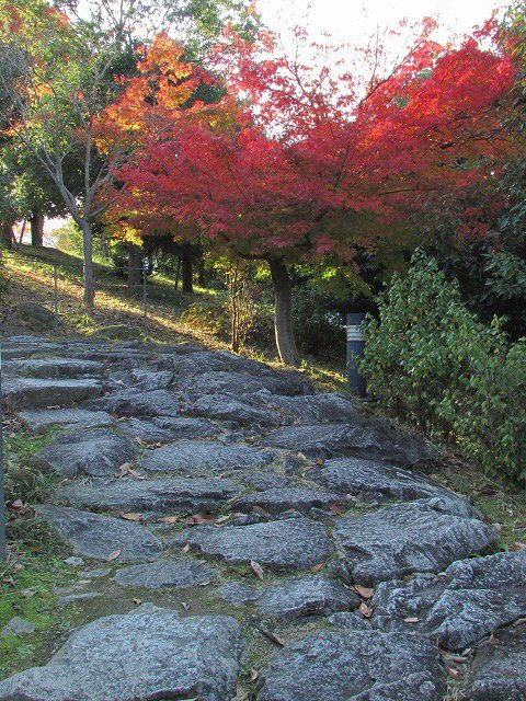 秋の訪れ紅葉風景_e0321325_16552605.jpg