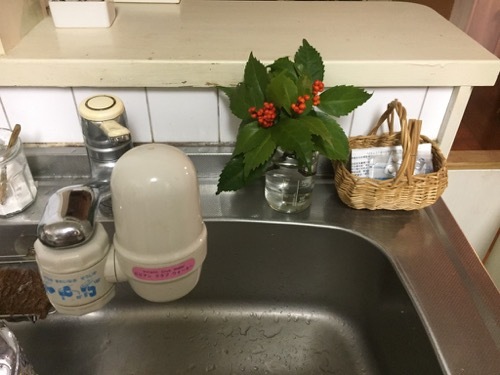 飲み薬の整理収納_a0284626_12404079.jpg