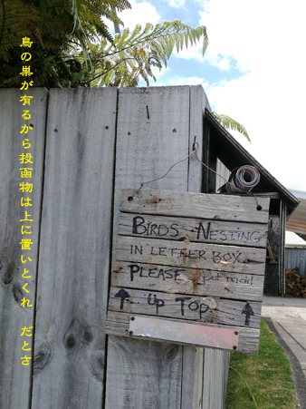 d0042827_18323621.jpg