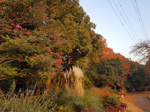 e0016828_10260007.jpg