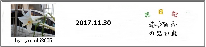 e0033229_18432899.jpg