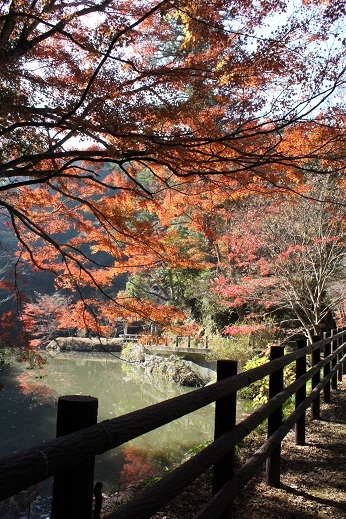 大人の遠足♪濃溝の滝や養老渓谷などバス旅で千葉県の紅葉を満喫_f0023333_22144161.jpg