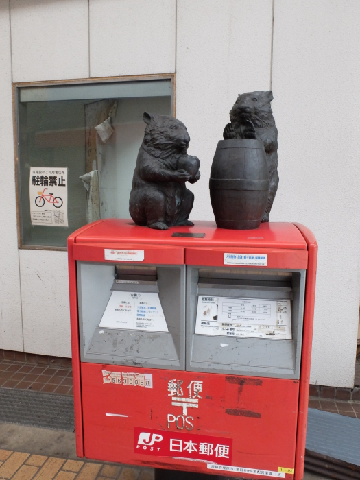 街中　ウォンバット　池田市_f0050534_08292882.jpg