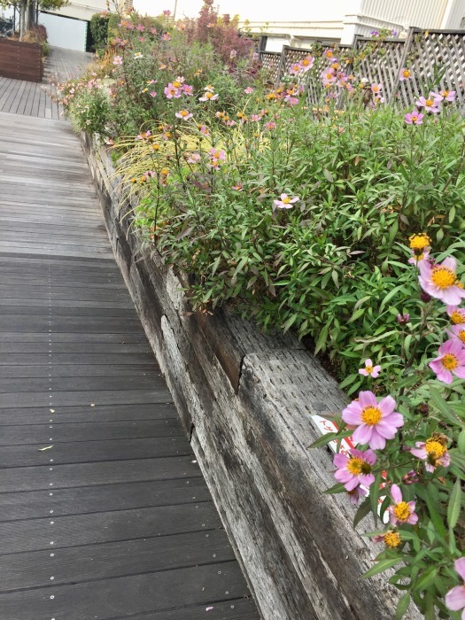 d0282139_14220708.jpeg